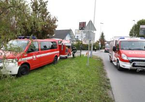 vajacz2019vido (11)